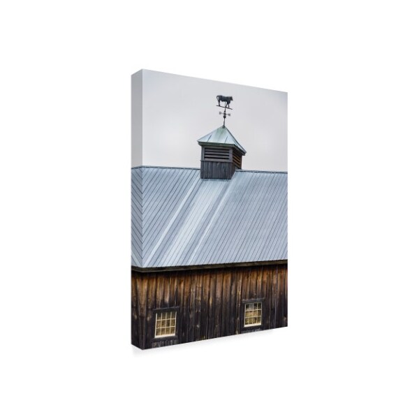 Brenda Petrella Photography Llc 'Rustic Weathervane' Canvas Art,22x32